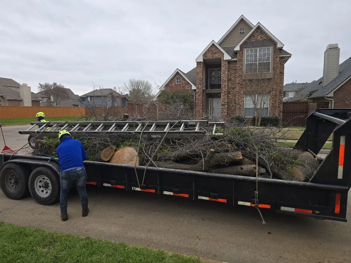 Expert Tree Fertilization with proper safety equipment in Villa Grande